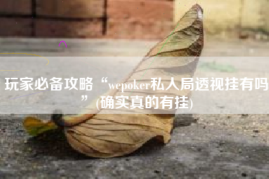 玩家必备攻略“wepoker私人局透视挂有吗”(确实真的有挂) 玩家必备攻略“wepoker私人局透视挂有吗”(确实真的有挂)