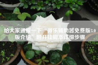 给大家通报一下“微乐辅助器免费版3.0版介绍”附开挂脚本详细步骤