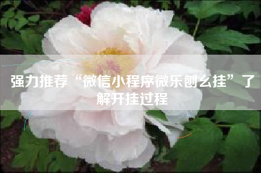 强力推荐“微信小程序微乐刨幺挂”了解开挂过程