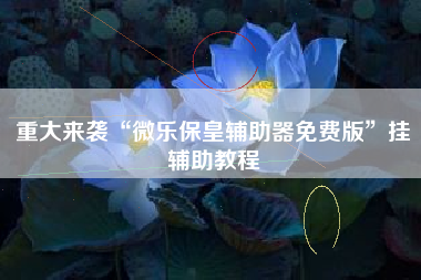 重大来袭“微乐保皇辅助器免费版”挂辅助教程