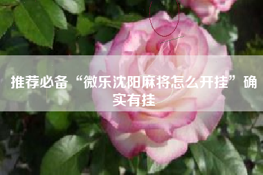 推荐必备“微乐沈阳麻将怎么开挂”确实有挂