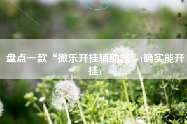 盘点一款“微乐开挂辅助器”(确实能开挂)