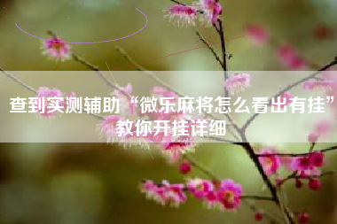 查到实测辅助“微乐麻将怎么看出有挂”教你开挂详细