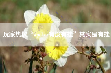 玩家热议“wpoker有没有挂”其实是有挂