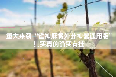 重大来袭“雀神麻将外卦神器通用版”其实真的确实有挂 重大来袭“雀神麻将外卦神器通用版”其实真的确实有挂