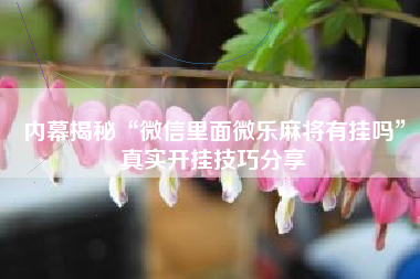 内幕揭秘“微信里面微乐麻将有挂吗”真实开挂技巧分享 内幕揭秘“微信里面微乐麻将有挂吗”真实开挂技巧分享