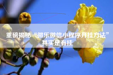 重磅揭秘“微乐微信小程序开挂方法”其实是有挂