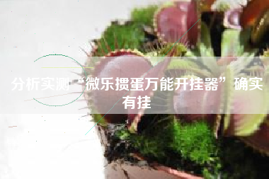 分析实测“微乐掼蛋万能开挂器”确实有挂 分析实测“微乐掼蛋万能开挂器”确实有挂