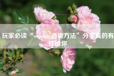 玩家必读“wepoker透视方法”分享真的有挂给你 玩家必读“wepoker透视方法”分享真的有挂给你