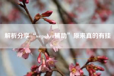 解析分享“wepoKer辅助”原来真的有挂