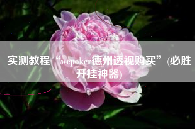 实测教程“wepoker德州透视购买”(必胜开挂神器) 实测教程“wepoker德州透视购买”(必胜开挂神器)