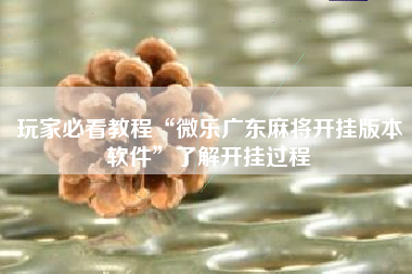 玩家必看教程“微乐广东麻将开挂版本软件”了解开挂过程