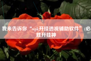 我来告诉你“wpk开挂透视辅助软件”(必胜开挂神 我来告诉你“wpk开挂透视辅助软件”(必胜开挂神
