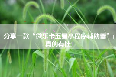 分享一款“微乐卡五星小程序辅助器”(真的有挂) 分享一款“微乐卡五星小程序辅助器”(真的有挂)