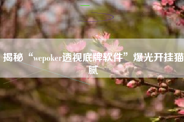 揭秘“wepoker透视底牌软件”爆光开挂猫腻