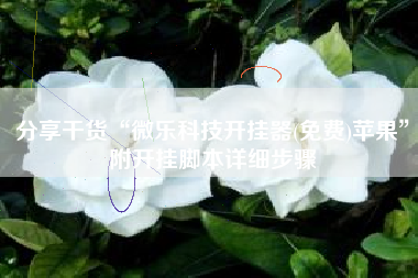 分享干货“微乐科技开挂器(免费)苹果”附开挂脚本详细步骤 分享干货“微乐科技开挂器(免费)苹果”附开挂脚本详细步骤