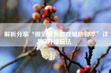 解析分享“微乐家乡游戏辅助脚本”详细开挂玩法