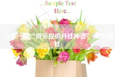 分享一款“微乐捉鸡开挂神器”(真的有挂) 分享一款“微乐捉鸡开挂神器”(真的有挂)