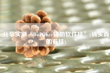 分享实测“WePOKer辅助软件挂”(确实真的有挂) 分享实测“WePOKer辅助软件挂”(确实真的有挂)