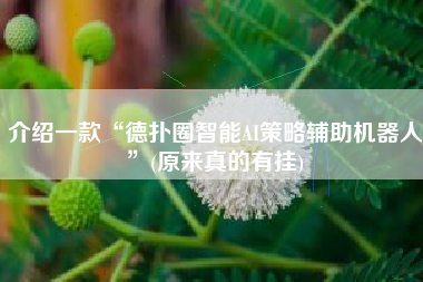 介绍一款“德扑圈智能AI策略辅助机器人”(原来真的有挂)