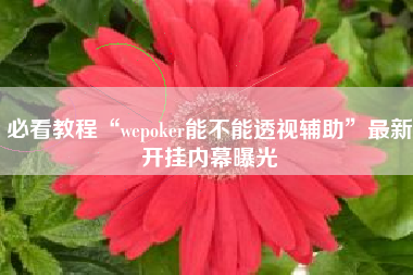 必看教程“wepoker能不能透视辅助”最新开挂内幕曝光