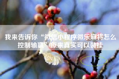 我来告诉你“微信小程序微乐麻将怎么控制输赢”原来真实可以装挂