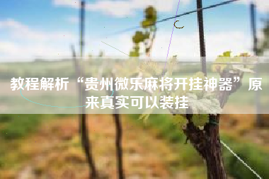 教程解析“贵州微乐麻将开挂神器”原来真实可以装挂