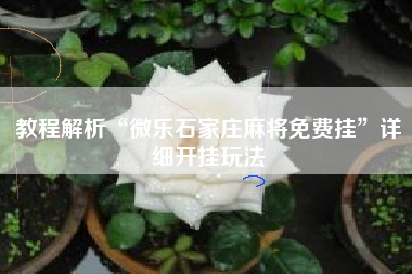 教程解析“微乐石家庄麻将免费挂”详细开挂玩法