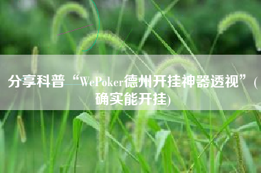 分享科普“WePoker德州开挂神器透视”(确实能开挂) 分享科普“WePoker德州开挂神器透视”(确实能开挂)