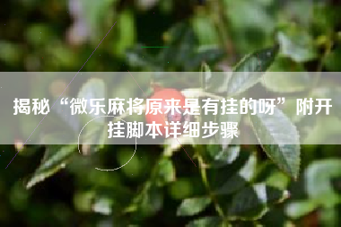 揭秘“微乐麻将原来是有挂的呀”附开挂脚本详细步骤
