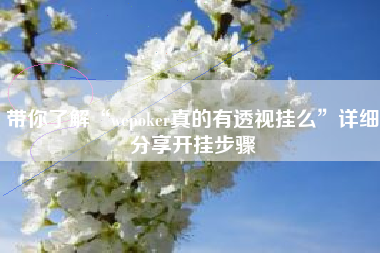 带你了解“wepoker真的有透视挂么”详细分享开挂步骤