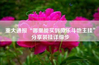 重大通报“哪里能买到微乐斗地主挂”分享装挂详细步