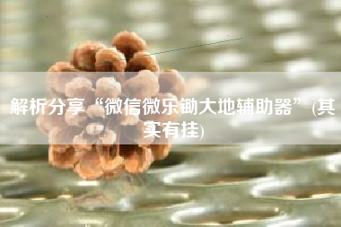 解析分享“微信微乐锄大地辅助器”(其实有挂)