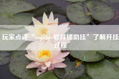玩家点评“wepoker软件辅助挂”了解开挂过程