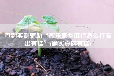 查到实测辅助“微乐家乡麻将怎么样看出有挂”(确实真的有挂)