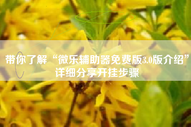 带你了解“微乐辅助器免费版3.0版介绍”详细分享开挂步骤
