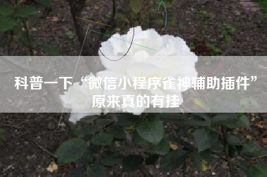 科普一下“微信小程序雀神辅助插件”原来真的有挂