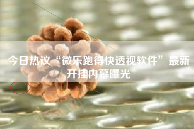 今日热议“微乐跑得快透视软件”最新开挂内幕曝光