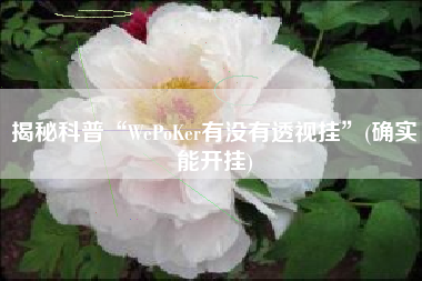 揭秘科普“WePoKer有没有透视挂”(确实能开挂)