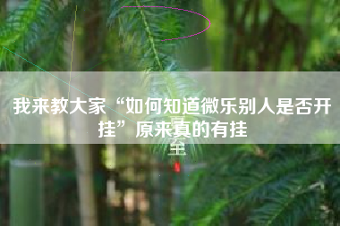 我来教大家“如何知道微乐别人是否开挂”原来真的有挂 我来教大家“如何知道微乐别人是否开挂”原来真的有挂