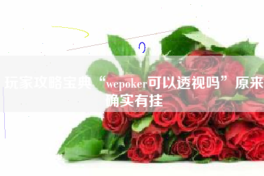 玩家攻略宝典“wepoker可以透视吗”原来确实有挂 玩家攻略宝典“wepoker可以透视吗”原来确实有挂