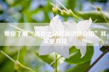 带你了解“德扑之星透视功能介绍”其实是有挂