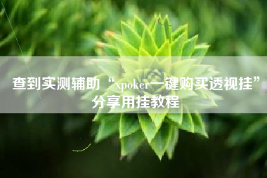 查到实测辅助“xpoker一键购买透视挂”分享用挂教程