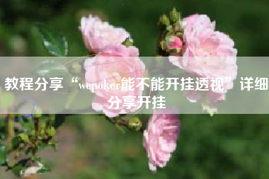 教程分享“wepoker能不能开挂透视”详细分享开挂