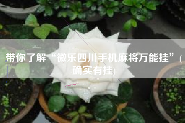 带你了解“微乐四川手机麻将万能挂”(确实有挂)