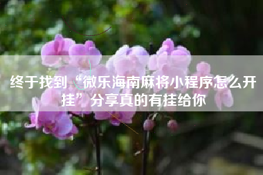 终于找到“微乐海南麻将小程序怎么开挂”分享真的有挂给你 终于找到“微乐海南麻将小程序怎么开挂”分享真的有挂给你