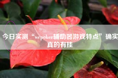 今日实测“wepoker辅助器游戏特点”确实真的有挂 今日实测“wepoker辅助器游戏特点”确实真的有挂