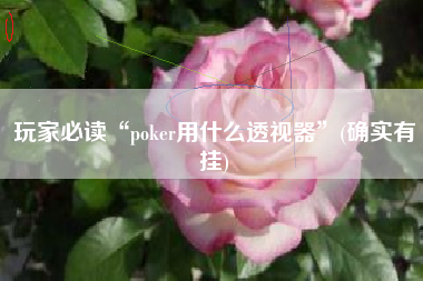 玩家必读“poker用什么透视器”(确实有挂)