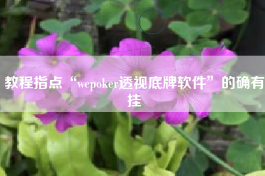 教程指点“wepoker透视底牌软件”的确有挂
