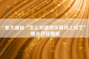 重大通报“怎么知道微乐麻将上挂了”爆光开挂猫腻 重大通报“怎么知道微乐麻将上挂了”爆光开挂猫腻